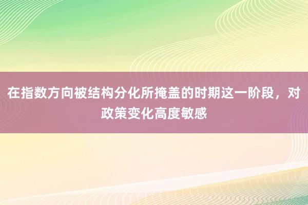在指数方向被结构分化所掩盖的时期这一阶段，对政策变化高度敏感