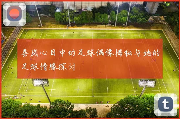 秦岚心目中的足球偶像揭秘与她的足球情缘探讨