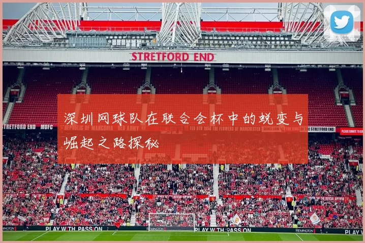 深圳网球队在联合会杯中的蜕变与崛起之路探秘