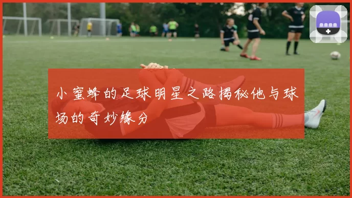 小蜜蜂的足球明星之路揭秘他与球场的奇妙缘分