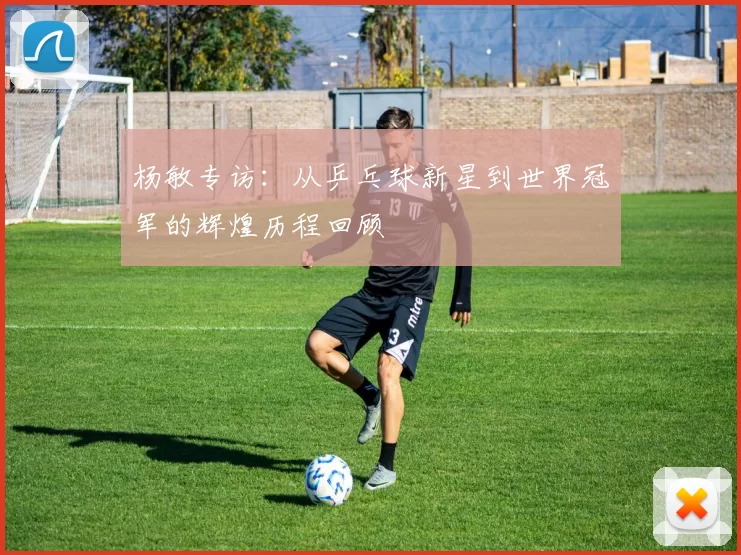 杨敏专访：从乒乓球新星到世界冠军的辉煌历程回顾