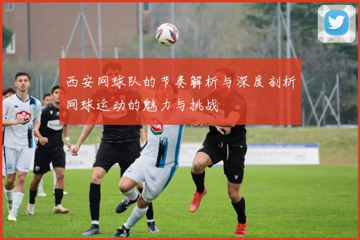 西安网球队的节奏解析与深度剖析网球运动的魅力与挑战