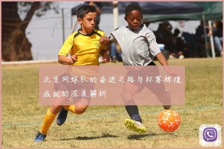 北京网球队的奋进之路与杯赛辉煌成就的深度解析