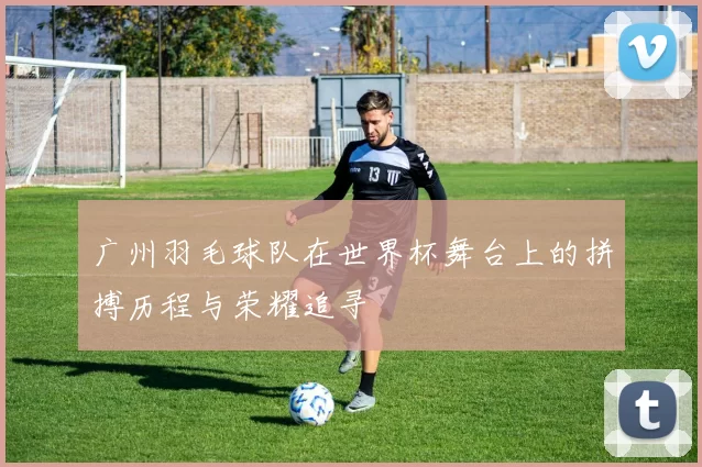 广州羽毛球队在世界杯舞台上的拼搏历程与荣耀追寻
