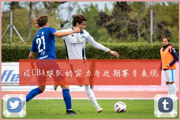 辽CBA球队的实力与近期赛季表现