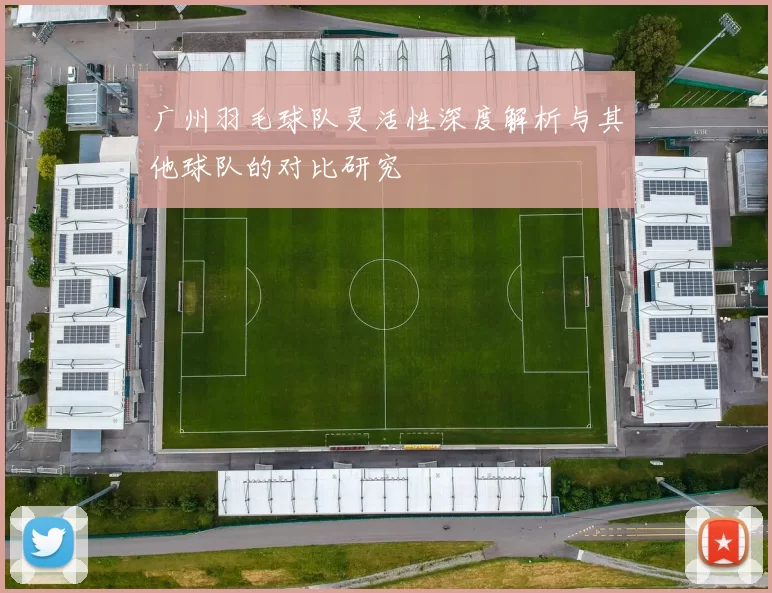 广州羽毛球队灵活性深度解析与其他球队的对比研究